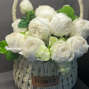 Yves Wedding Road live flowering plant