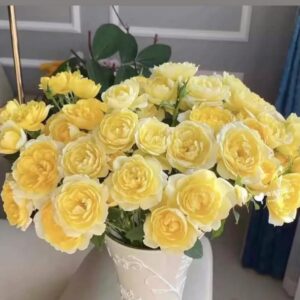 Yellow Juicy Terraza