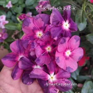 Pink Splash Batik